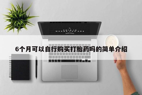 自己购买打胎药私人微信6个月可以自行购买打胎药吗的简单介绍